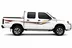 BODY STICKER STRIPE DONGFENG ZNA RICH P27 4D GS-NP-011