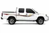 BODY STICKER STRIPE DONGFENG ZNA RICH P27 4D GS-NP-011